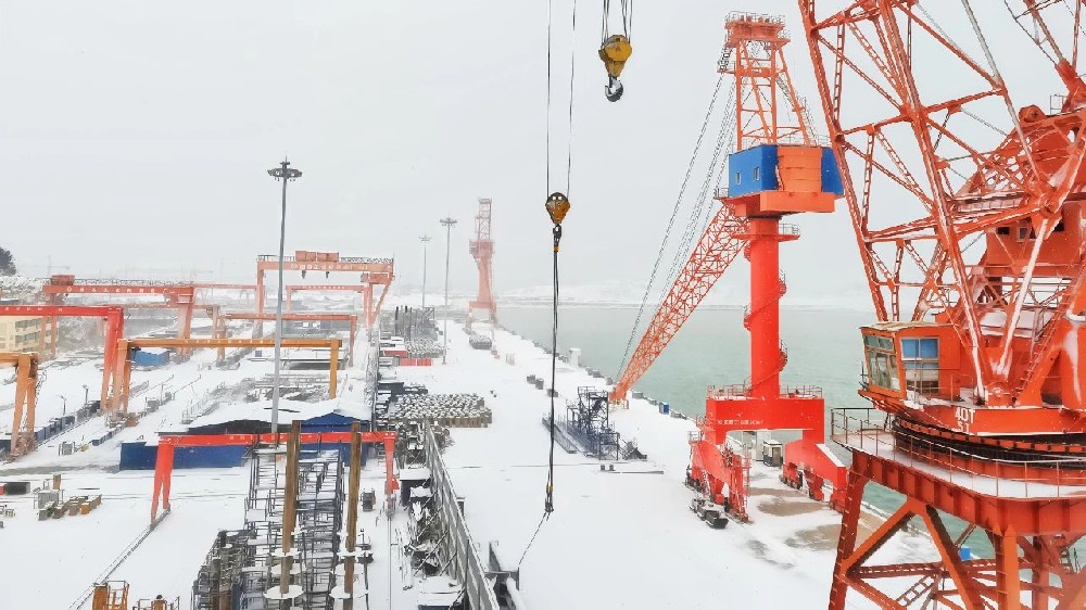 江蘇遠洋散貨公司：落實黨代會精神，以“硬舉措”賦能新程