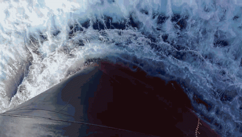 遠(yuǎn)洋十二時(shí)辰